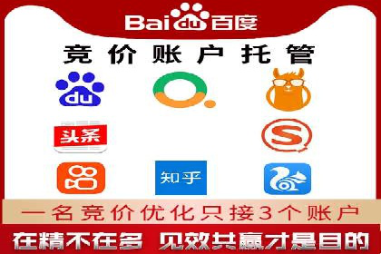 SEM公司成功案例分享：搜索引擎优化的力量